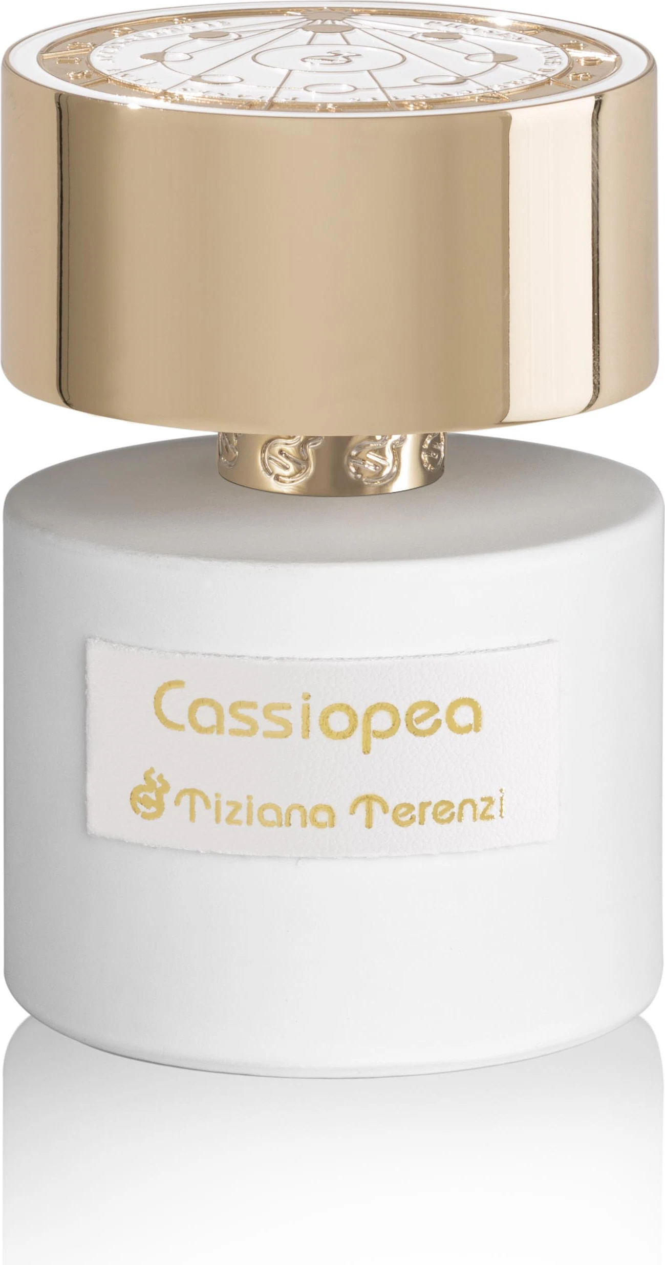 Cassiopea