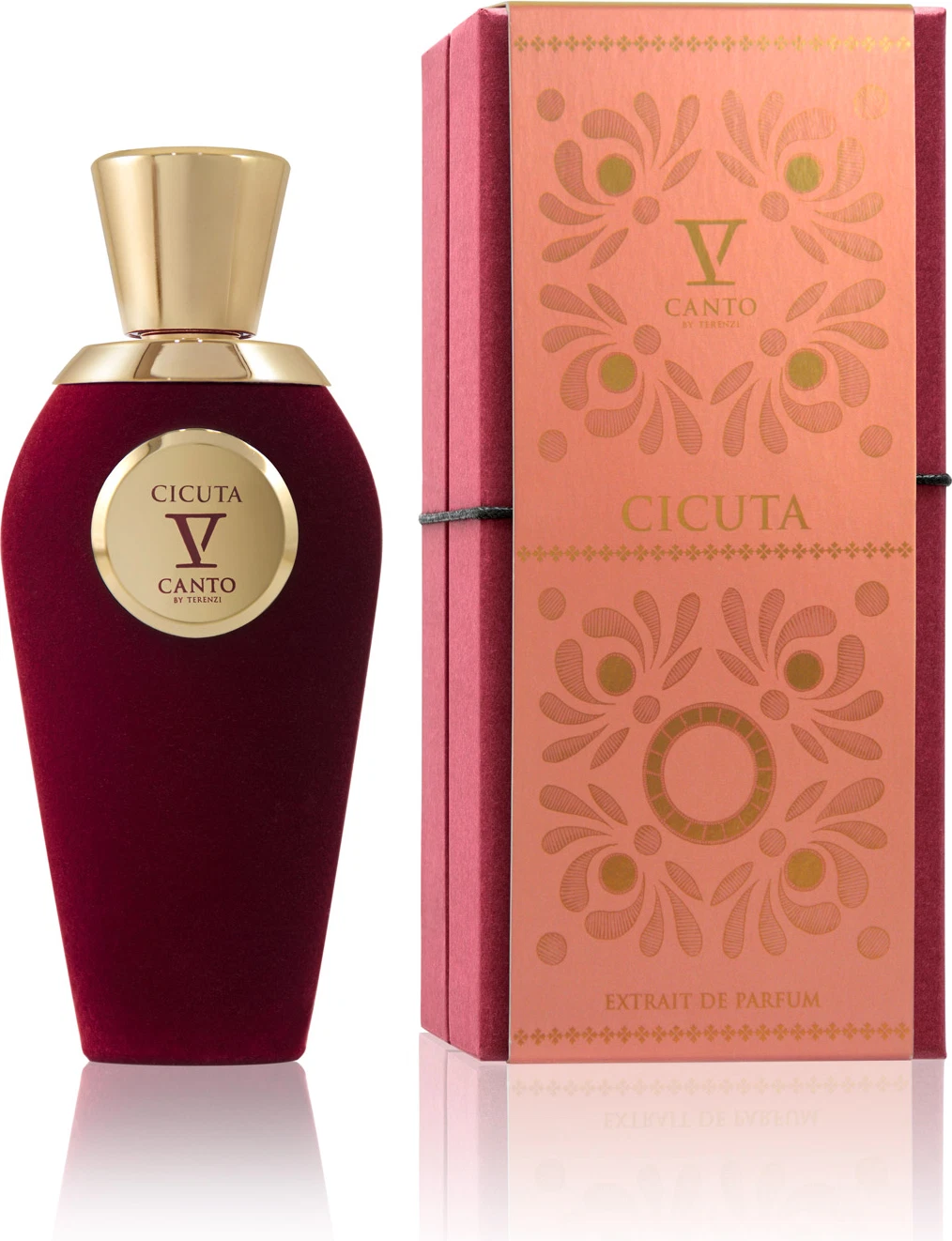 Cicuta