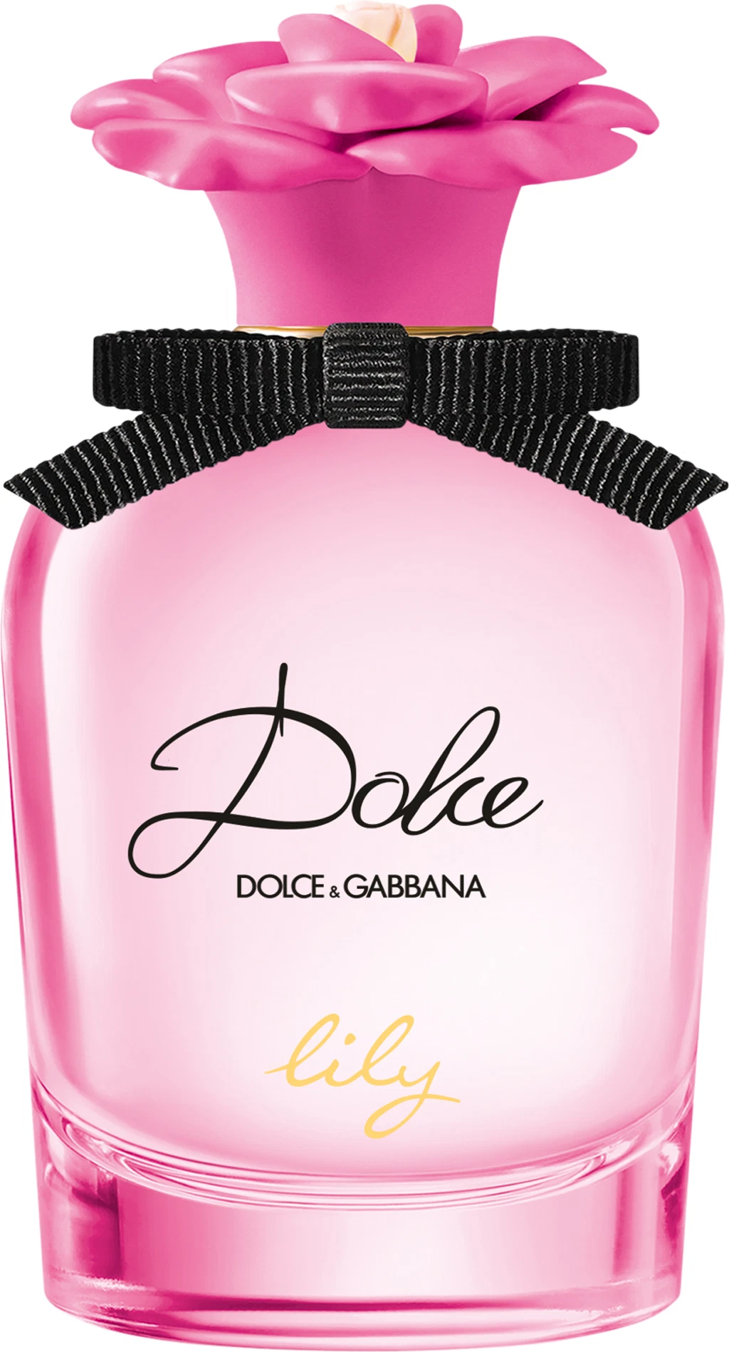 DOLCE lily