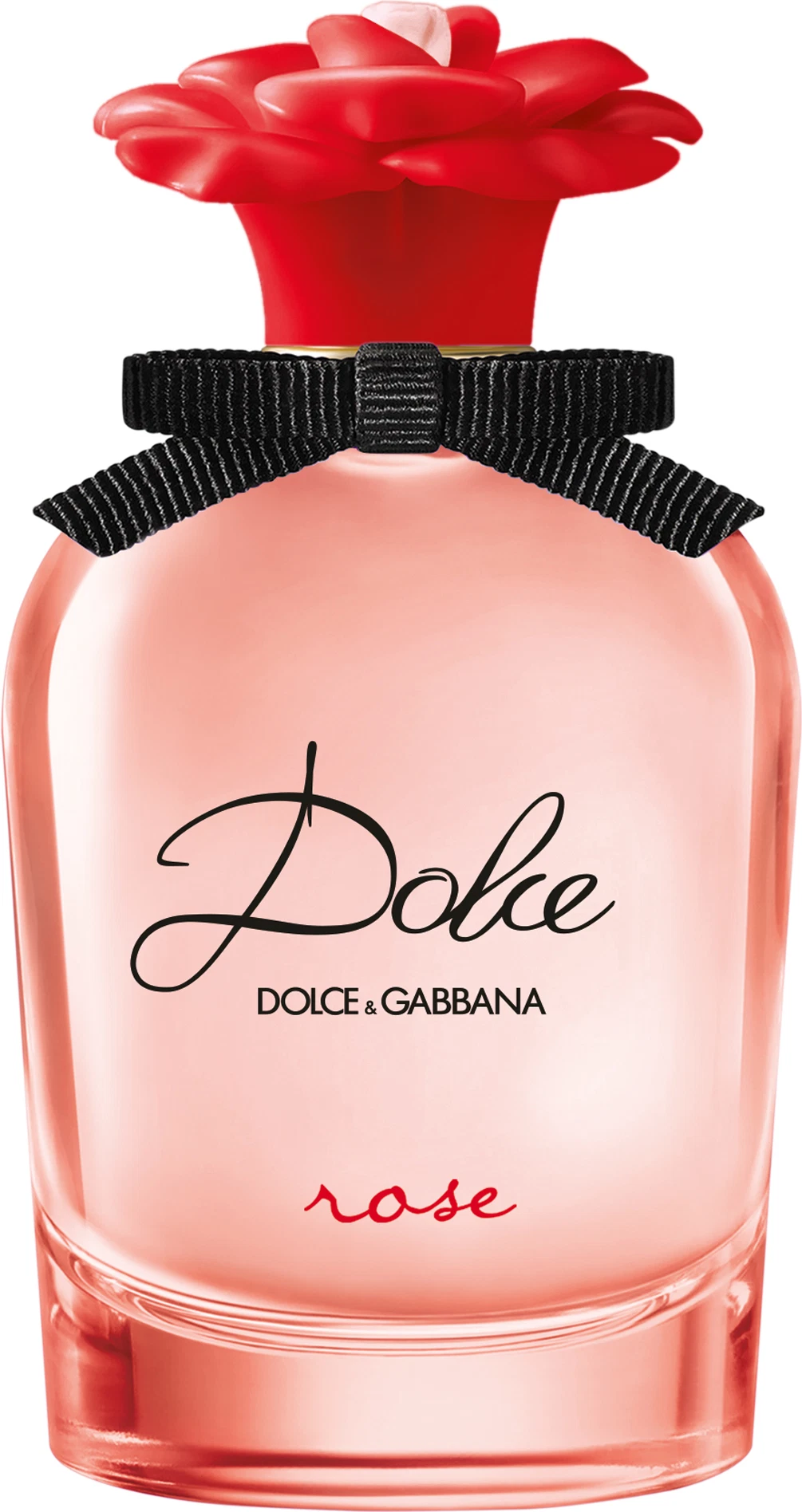 DOLCE rose