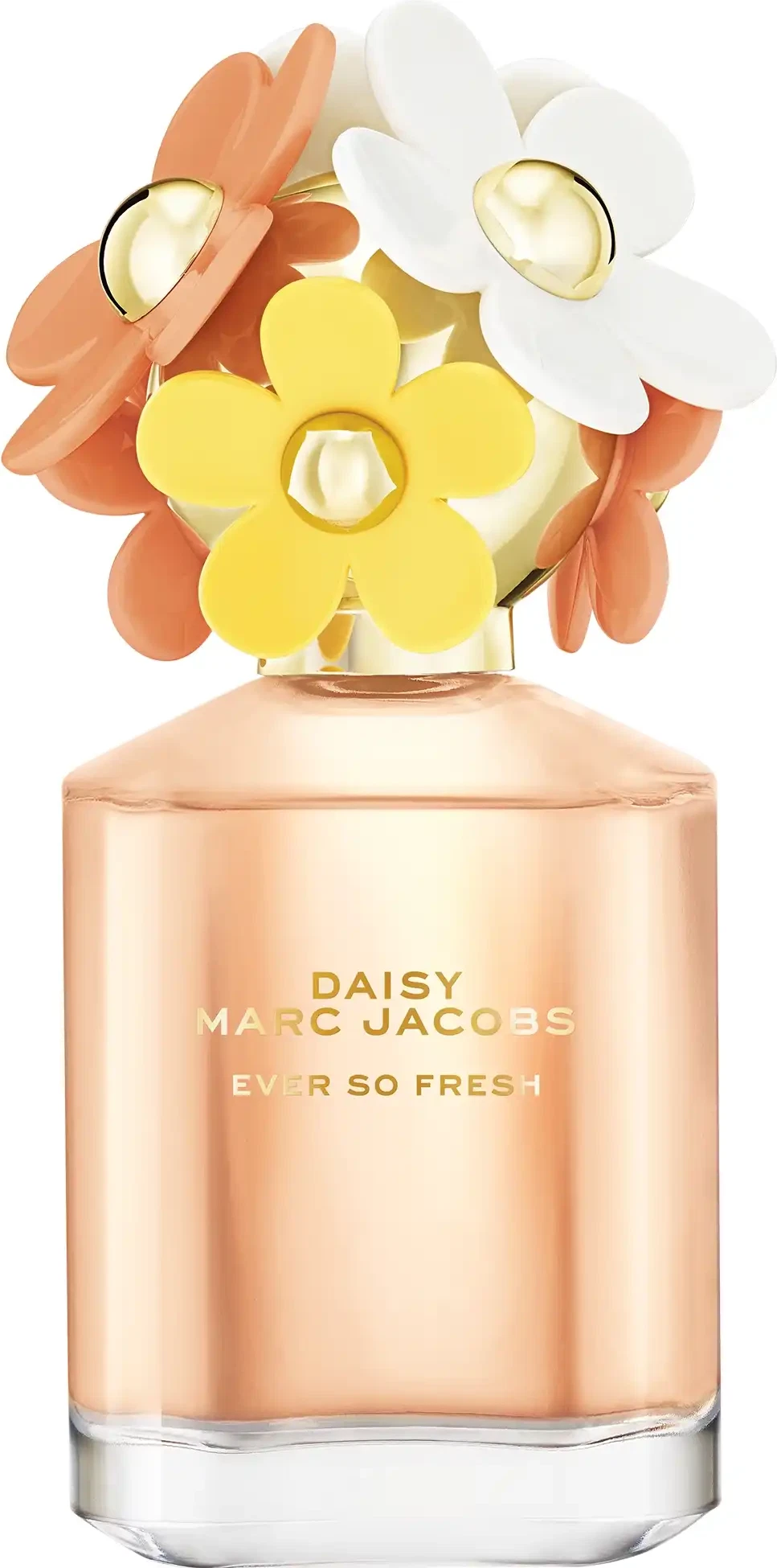 Daisy Ever So Fresh