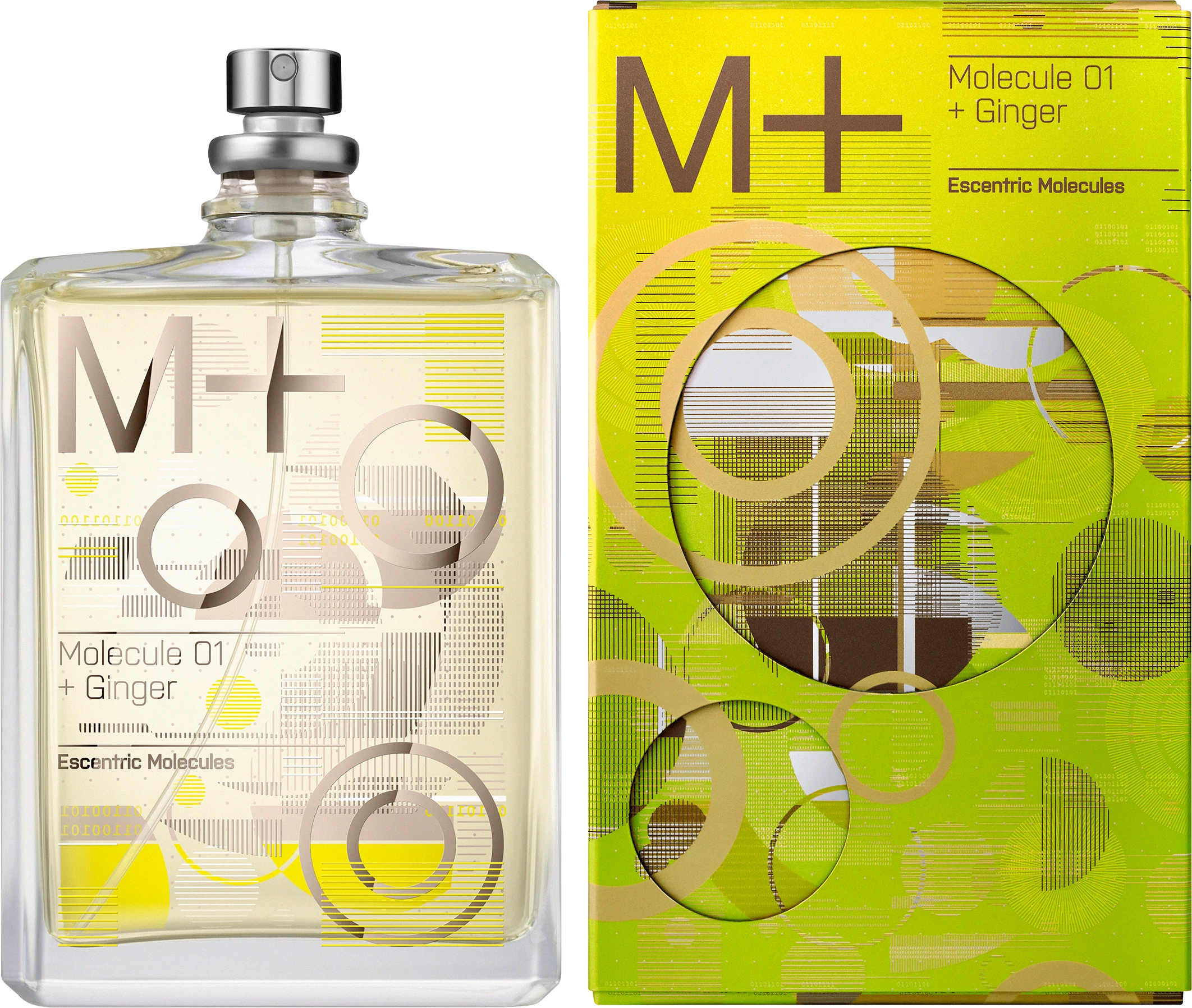 Molecule 01 + Ginger