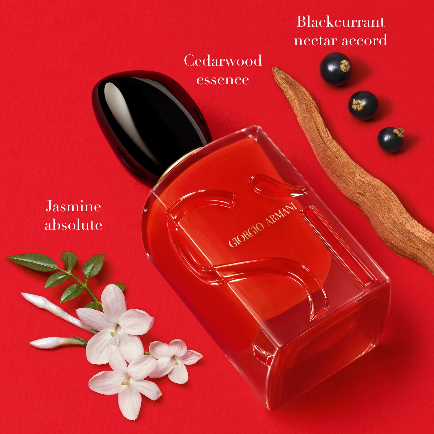 Giorgio Armani Si Passione