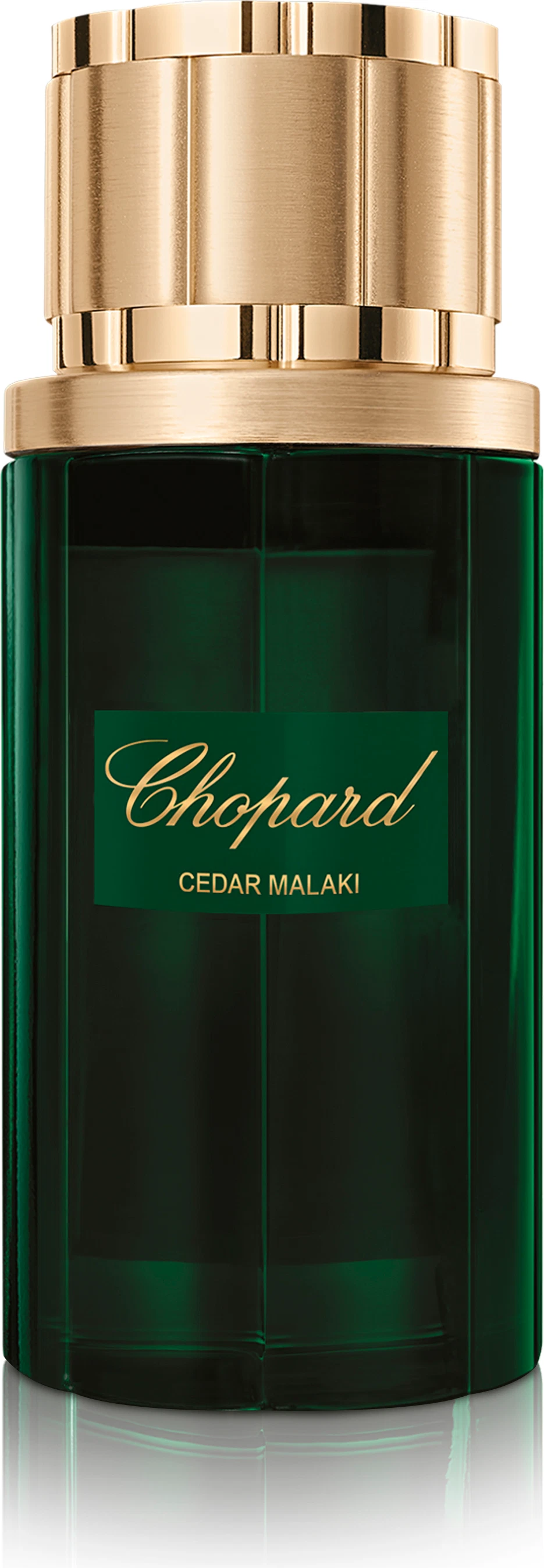 Chopard Cedar Malaki