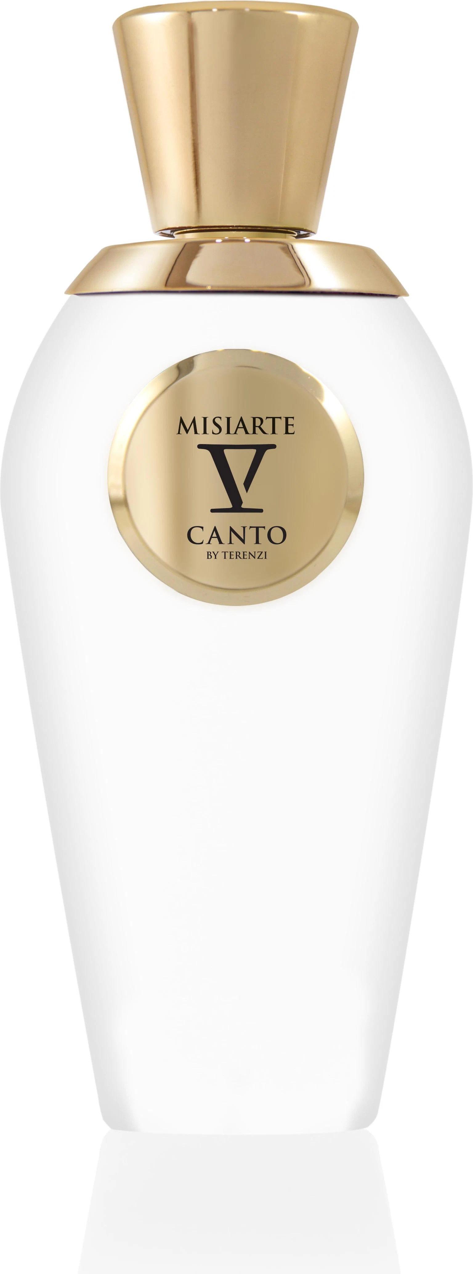 V Canto Misiarte