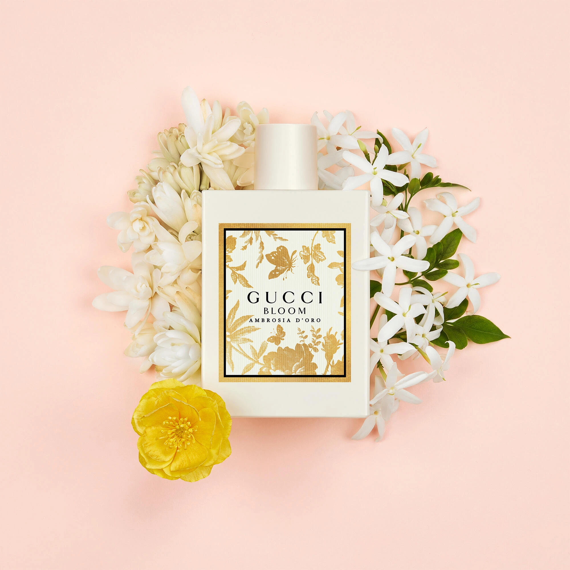 Gucci Bloom Ambrosia D'Oro
