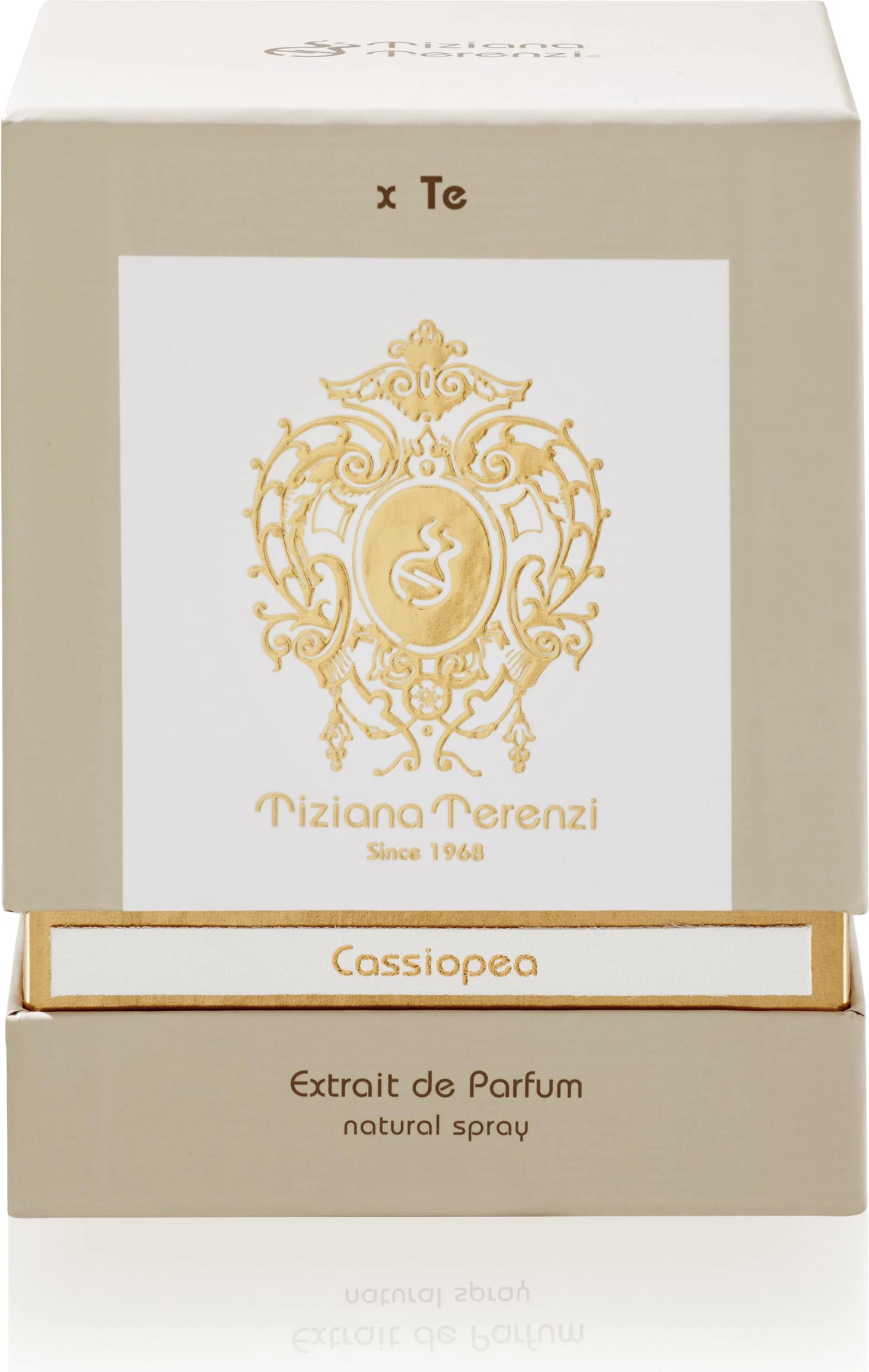 Cassiopea — photo 3