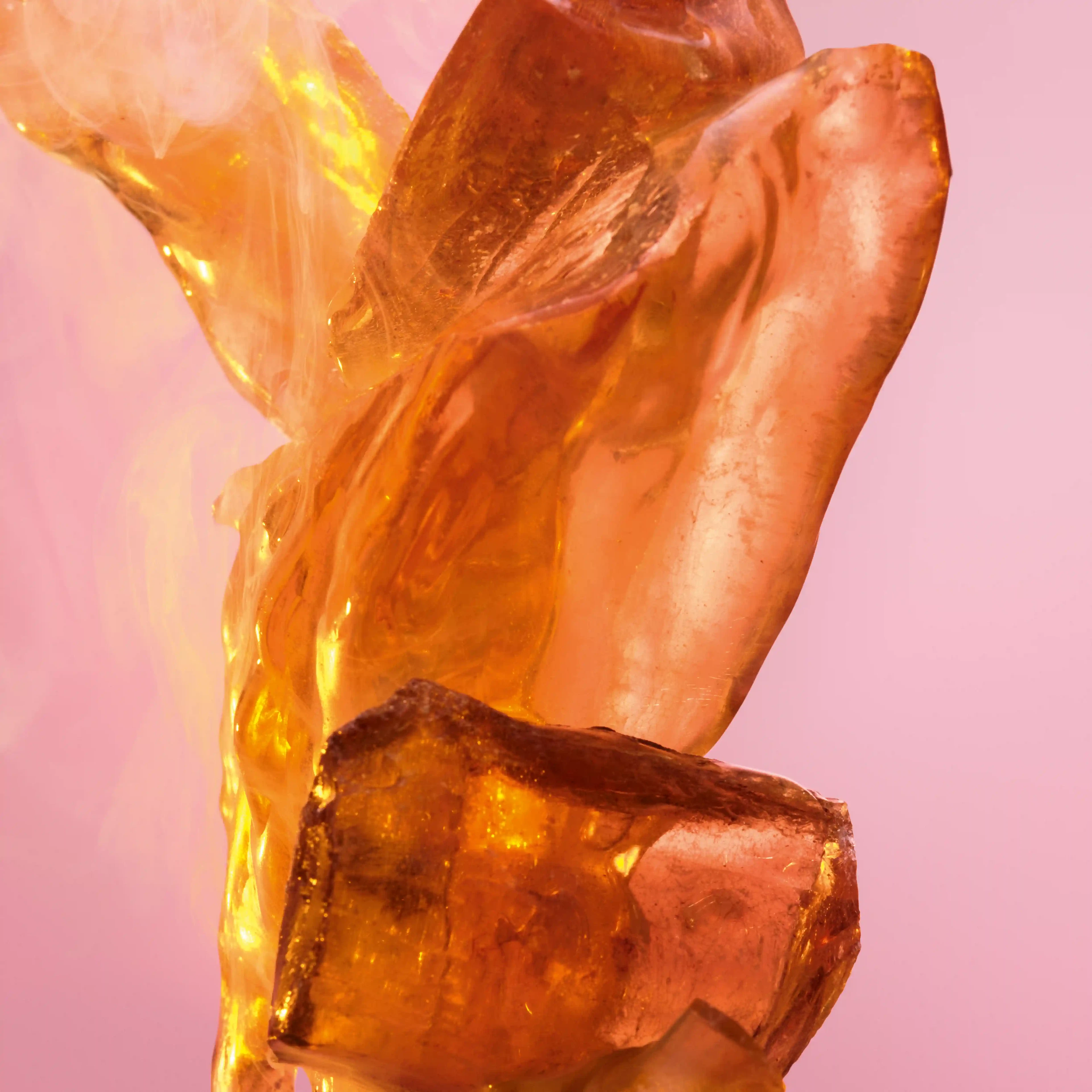 Fame — photo 6