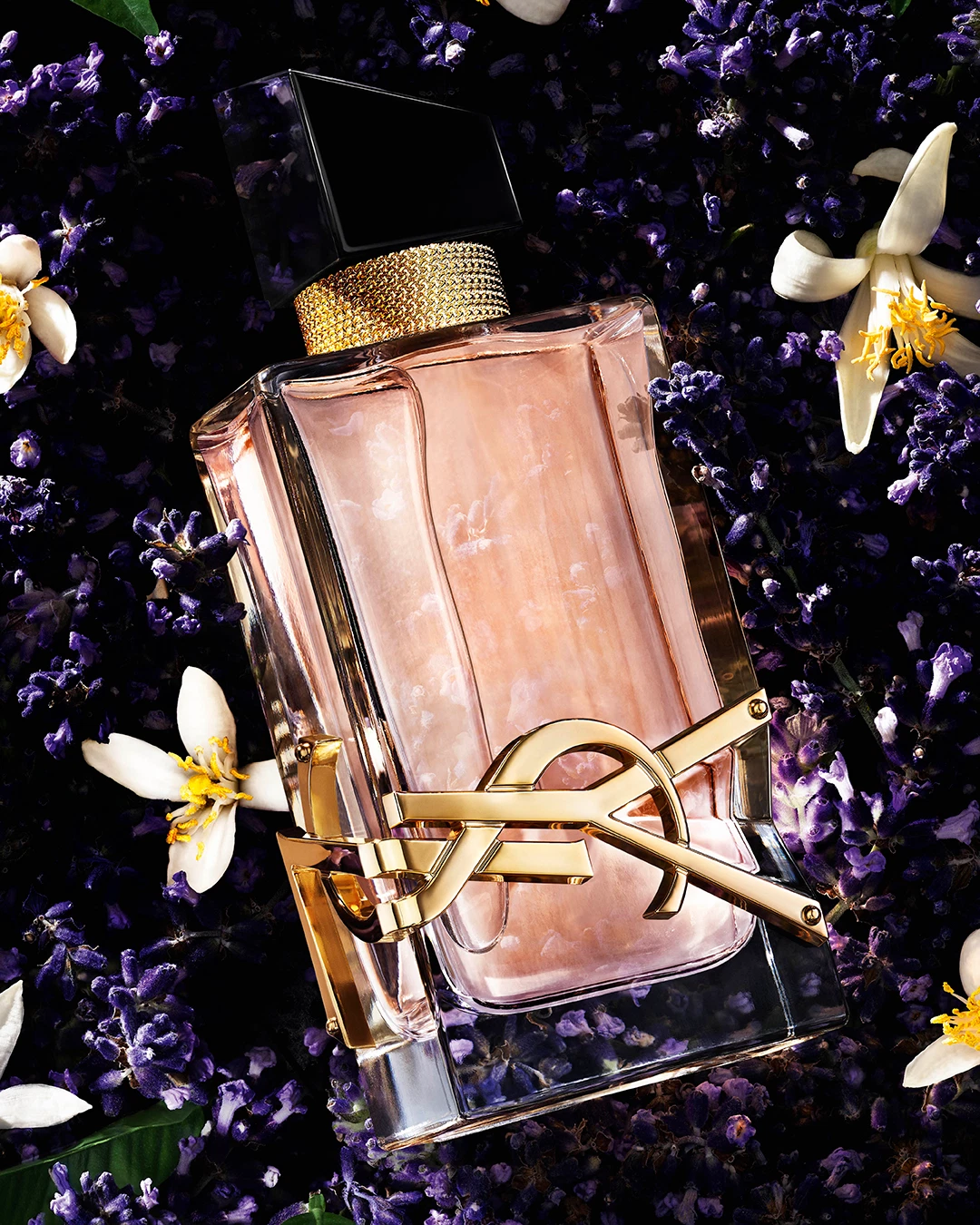LIBRE EDT — photo 4