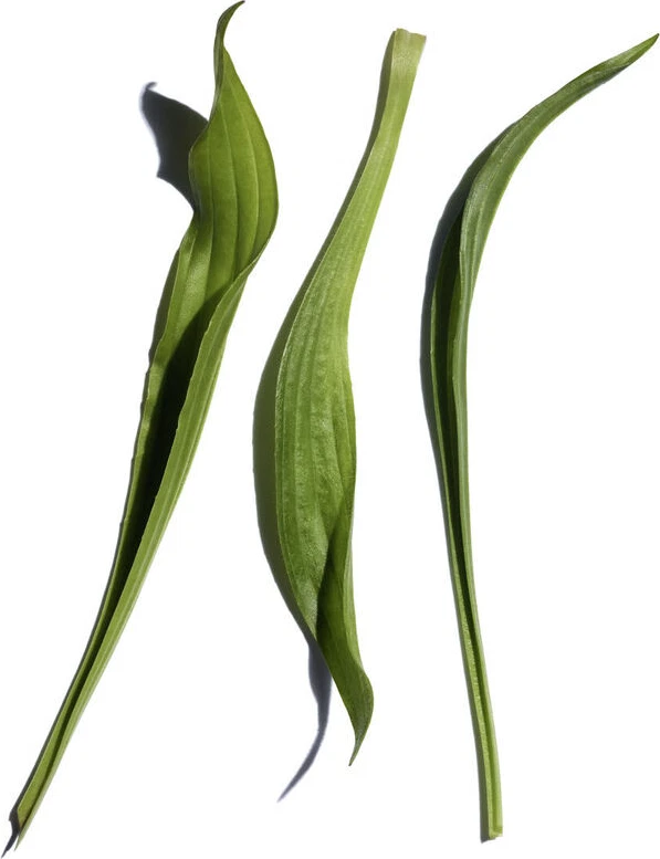Super Restorative Remodelling Serum — photo 5