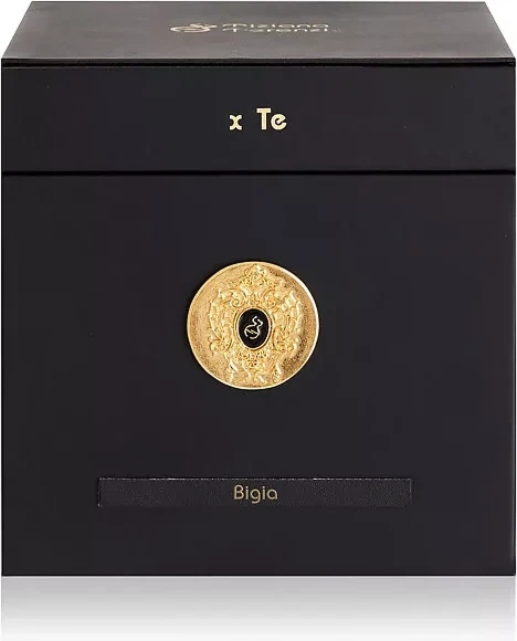 Tiziana Terenzi bigia — foto 3