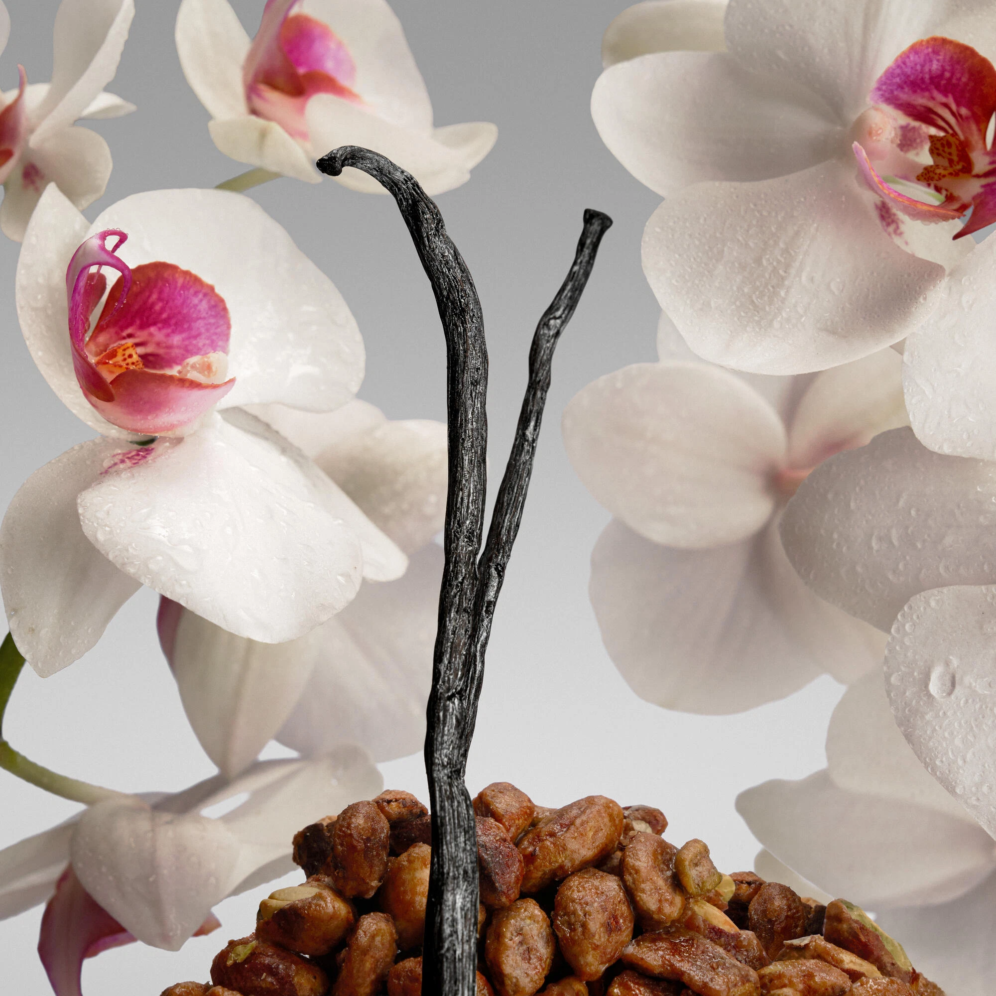 Calvin Klein Euphoria Signature Elixir