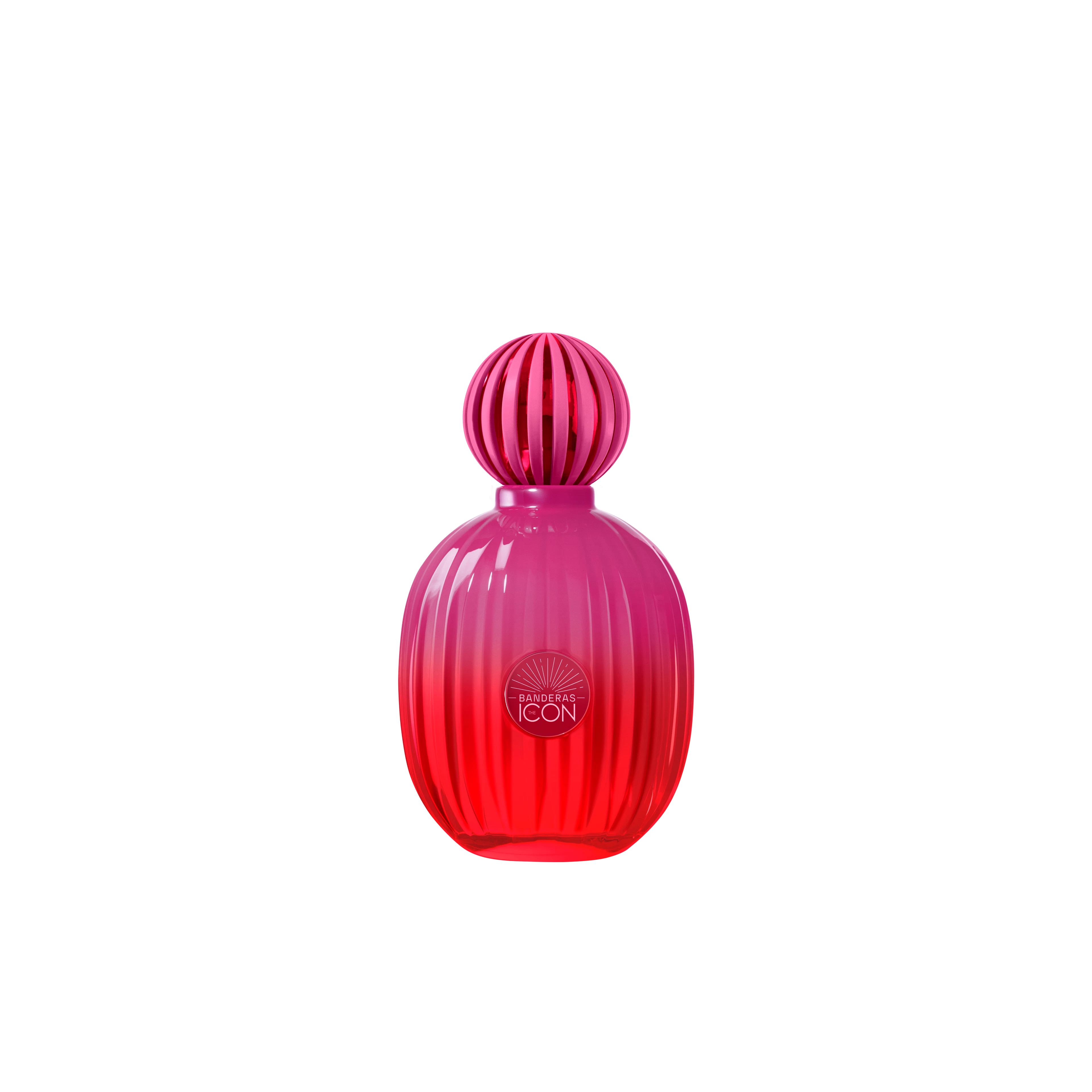 The Icon Supreme for Her Intense