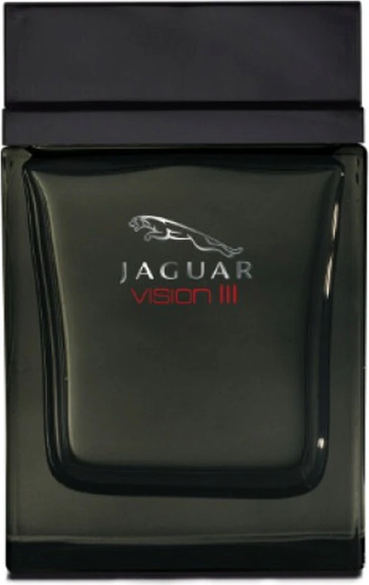 Jaguar Vision III для мужчин