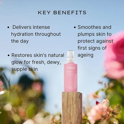 Face Cream Jurlique Rare Rose