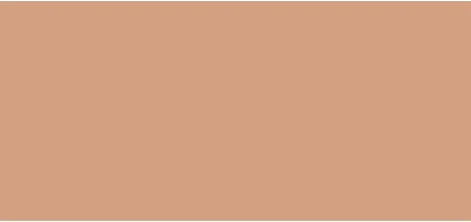 Пудра компактная Orlane Bronzing Pressed Powder