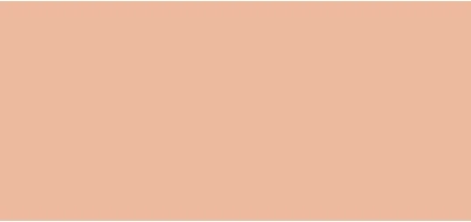 Concealer Sensai