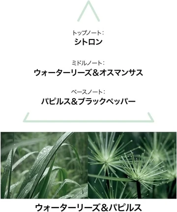 Одеколон Maison De Parfum Aqua Nymphae