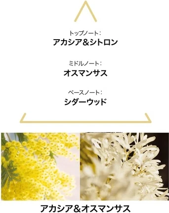 Туалетная вода Le Couvent Maison De Parfum Aqua Majestae
