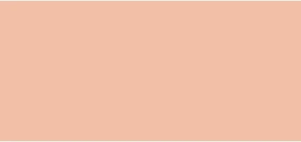 Крем для лица Erborian BB Cream SPF 20