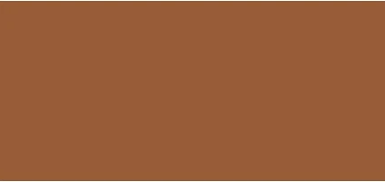 Бронзирующая Пудра Pola Cosmetics Bronzing Powder