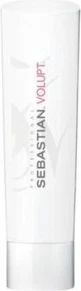 Sebastian Professional Konditsioner