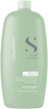 Шампунь Alfaparf Milano Semi Di Lino Scalp Rebalance