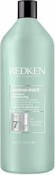 Shampoo Redken Amino Mint