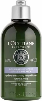 Shampoo L'Occitane Aromacology Antidandruff