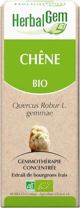 Биологически активная добавка Herbalgem Мацерат почки дуба органический