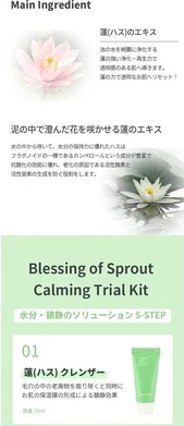 Набор для ухода за лицом Hayejin Blessing of Sprout