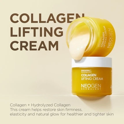 Face Cream Dermalogy By Neogenlab Collagen Moisturizing Cream