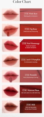 Black Rouge Icy To Fog Velvet