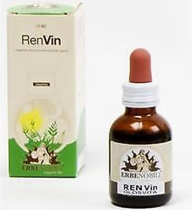 Erbenobili Renvin